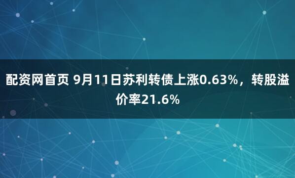 配资网首页 9月11日苏利转债上涨0.63%，转股溢价率21.6%