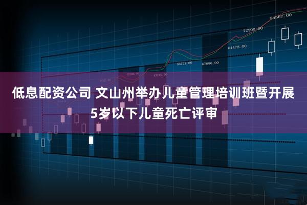 低息配资公司 文山州举办儿童管理培训班暨开展5岁以下儿童死亡评审